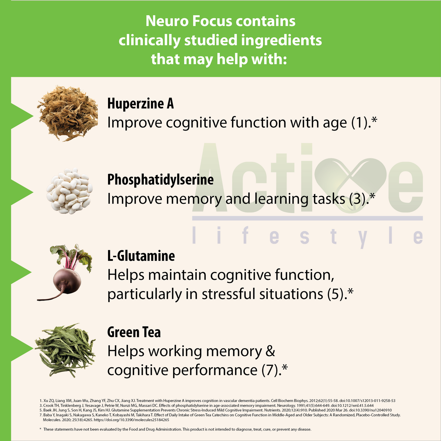 Neuro Focus - Nootropic